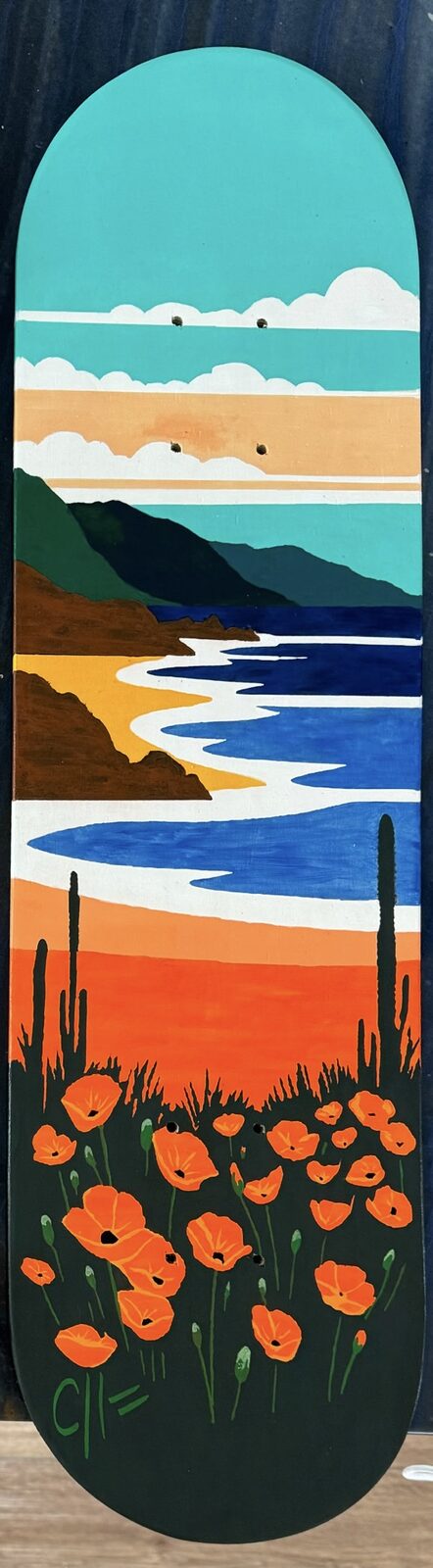 Wild Coast
